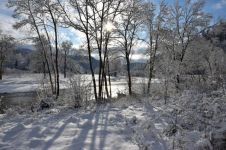 冬天话题的现代诗歌:冬的记忆