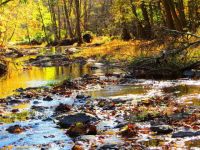 溪水潺流故乡情的诗歌示例