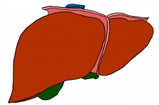 剖肝沥胆成语解释
