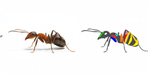 蚂蚁与教授的较量（深度好文）