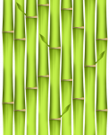 竹子蕴含哲理的话