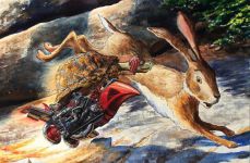 黑兔和白兔的寓言故事
