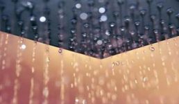 关于描写雨水节气特点的古诗