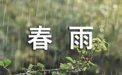 《临安春雨初霁》译文及鉴赏