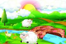动物寓言故事：一毛不拔的小绵羊