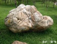 关于石头的成语
